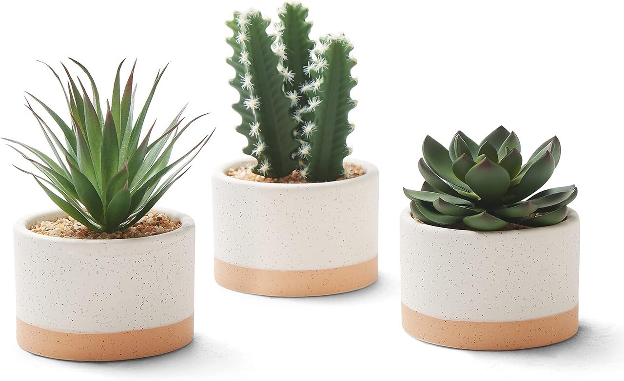 Set of 3 Artificial Succulents in Ceramic Pots – Faux Small Potted Cactus Plants for Home Decor, Bedroom, Office Desk, Living Room & Shelf Decoration
